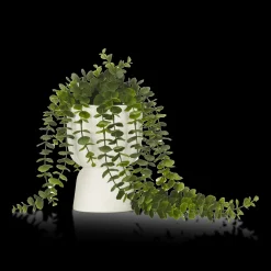 Waterfall Eucalyptus in White Hourglass Pot