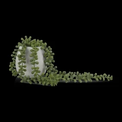 Waterfall Plant in Cement Pot