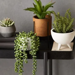 Waterfall Plant in Cement Pot